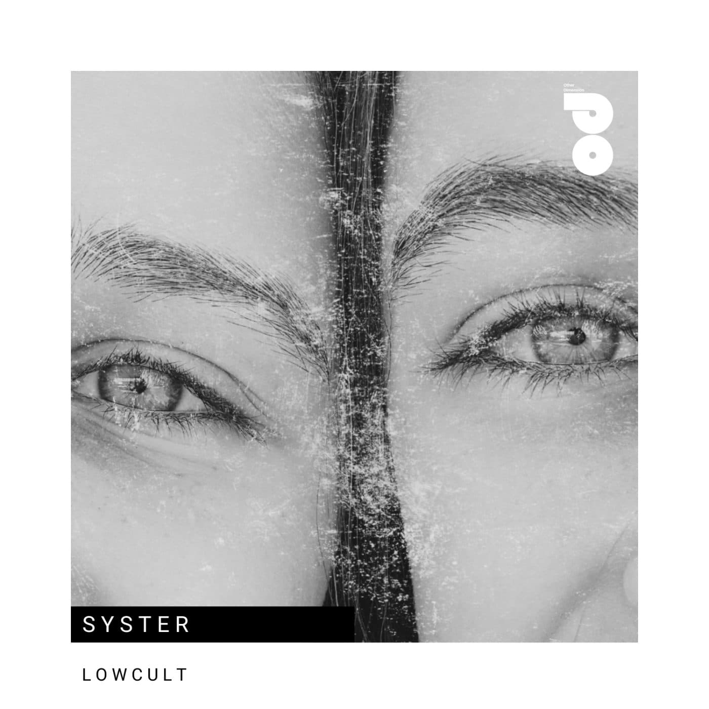 Syster